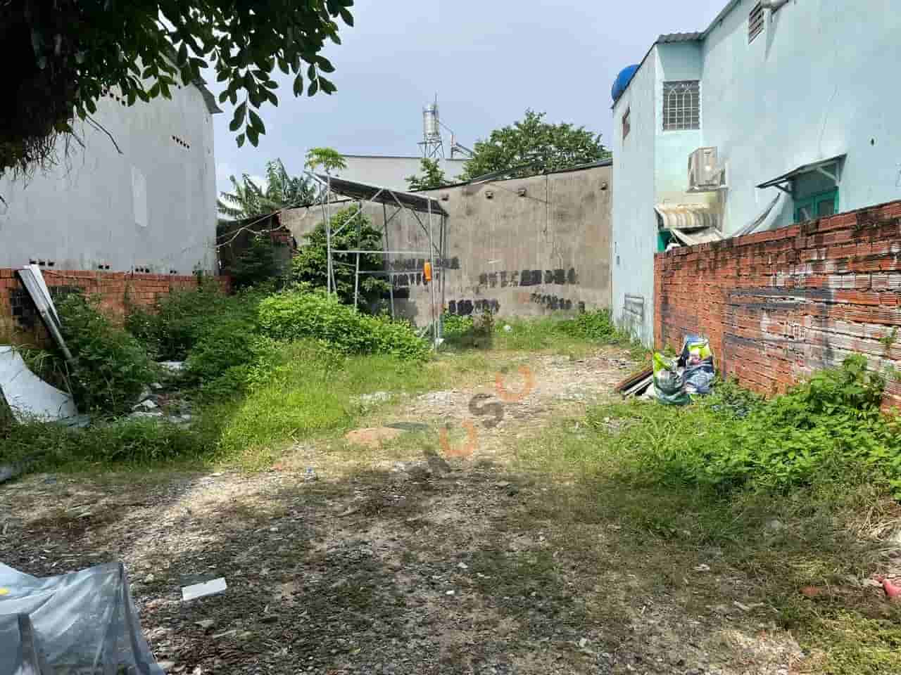 Image Image
