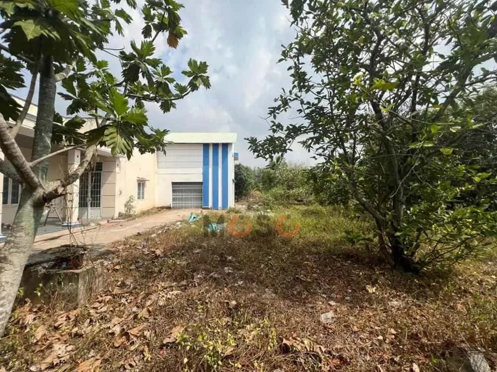 Bán nhà hẻm Đường Cầu Sao Huyện Gò Dầu, Tây Ninh – giá 4.8 tỷ — Hình 2 Bán nhà hẻm Đường Cầu Sao Huyện Gò Dầu, Tây Ninh – giá 4.8 tỷ — Hình 2