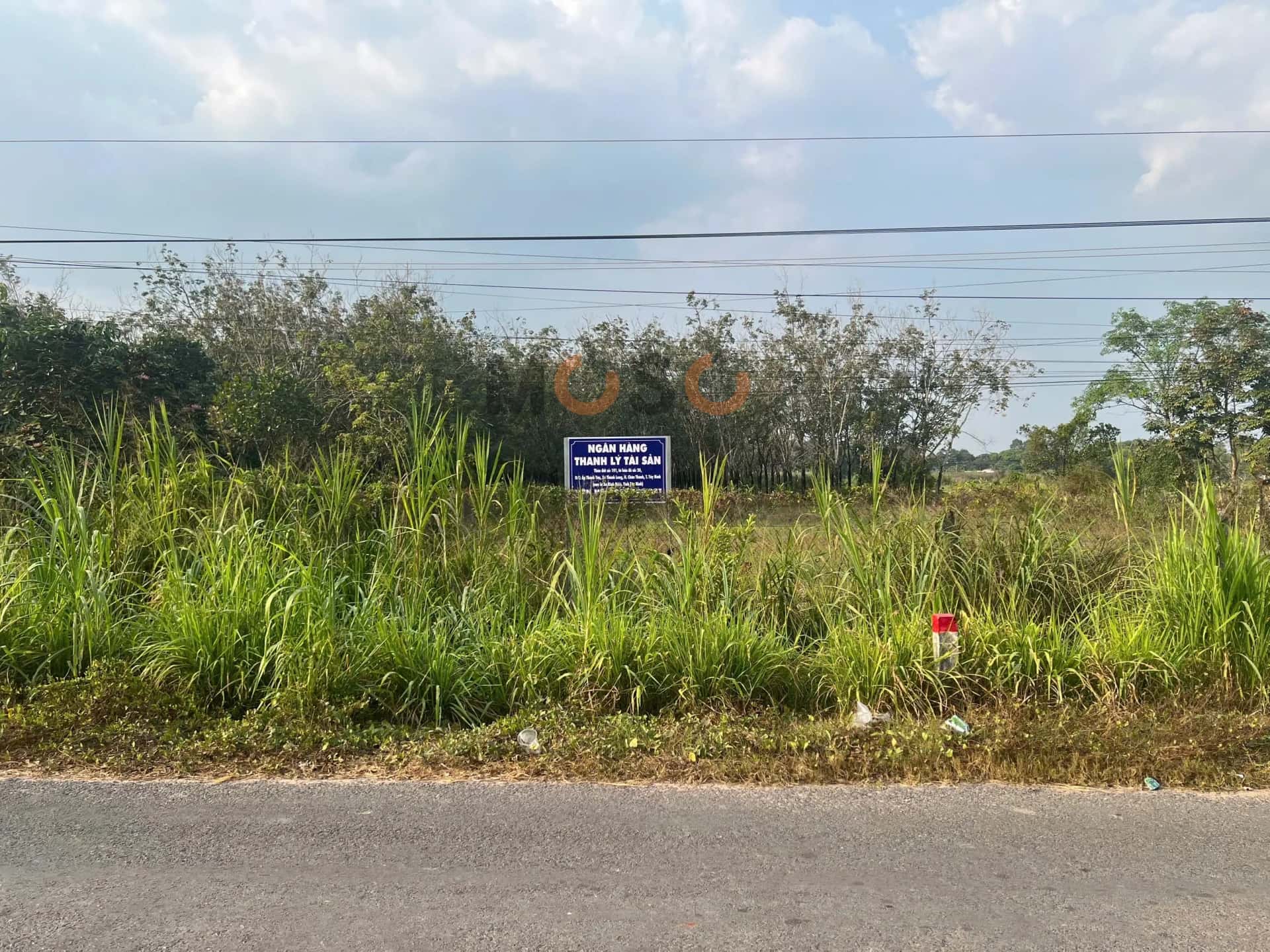 Bán đất Thành Long Huyện Châu Thành, Tây Ninh – giá 702 triệu — Hình 2 Bán đất Thành Long Huyện Châu Thành, Tây Ninh – giá 702 triệu — Hình 2