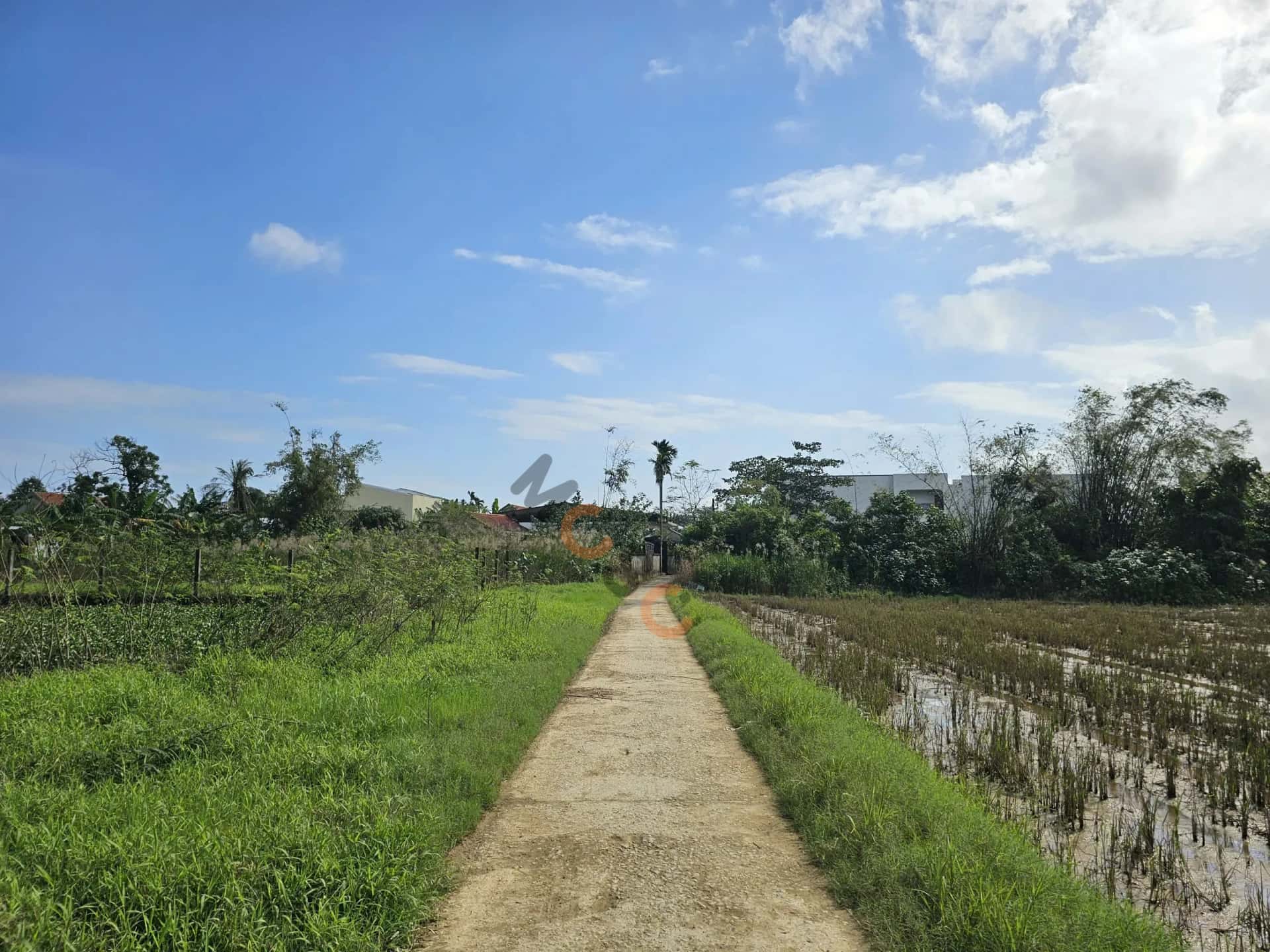Bán đất Huyện Phú Vang, Thừa Thiên Huế – giá 2.1 tỷ — Hình 2 Bán đất Huyện Phú Vang, Thừa Thiên Huế – giá 2.1 tỷ — Hình 2