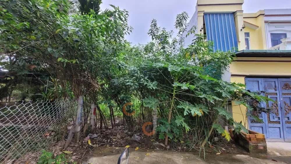 Bán đất Đường Quy Đông Thành phố Nha Trang, Khánh Hòa – giá 4.7 tỷ — Hình 2 Bán đất Đường Quy Đông Thành phố Nha Trang, Khánh Hòa – giá 4.7 tỷ — Hình 2