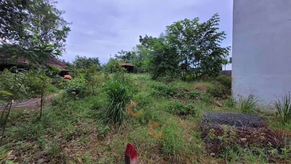 Bán đất Đường Quy Đông Thành phố Nha Trang, Khánh Hòa – giá 4.7 tỷ — Hình 3 Bán đất Đường Quy Đông Thành phố Nha Trang, Khánh Hòa – giá 4.7 tỷ — Hình 3