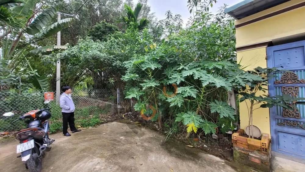 Bán đất Đường Quy Đông Thành phố Nha Trang, Khánh Hòa – giá 4.7 tỷ Bán đất Đường Quy Đông Thành phố Nha Trang, Khánh Hòa – giá 4.7 tỷ