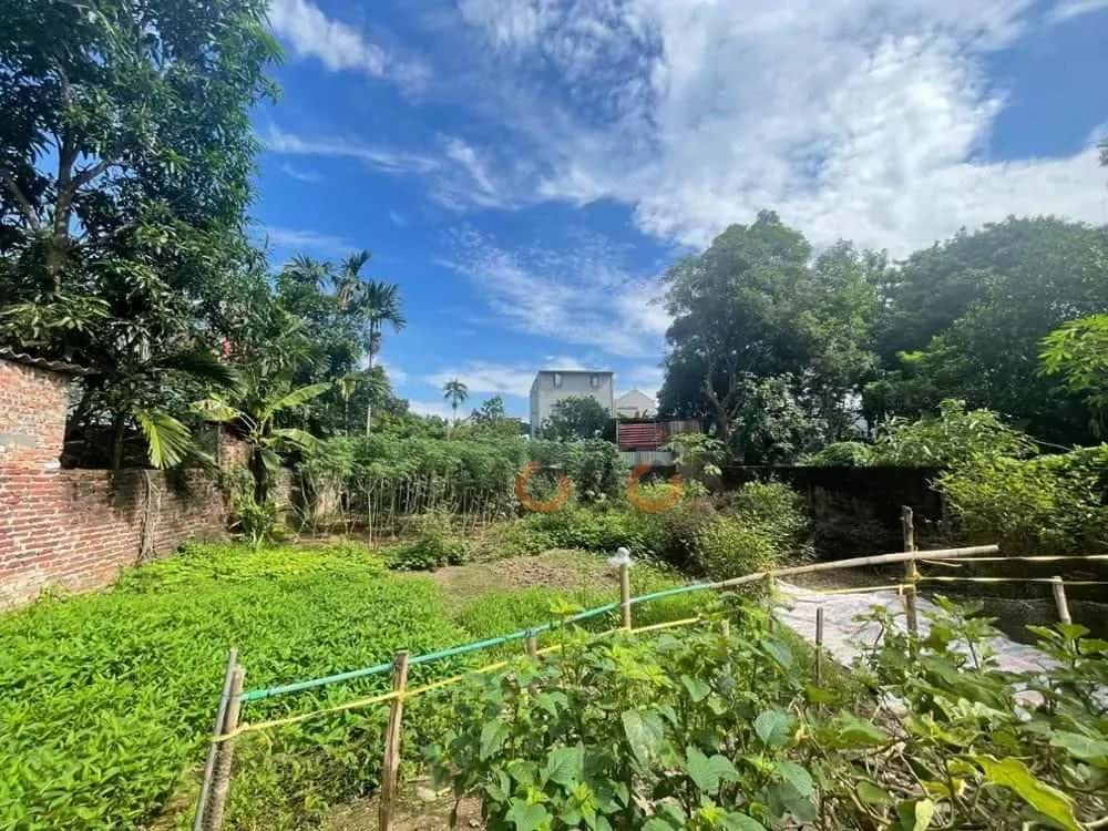 Bán đất Ngõ 53 Thành phố Hòa Bình, Hoà Bình – giá 4 tỷ — Hình 2 Bán đất Ngõ 53 Thành phố Hòa Bình, Hoà Bình – giá 4 tỷ — Hình 2