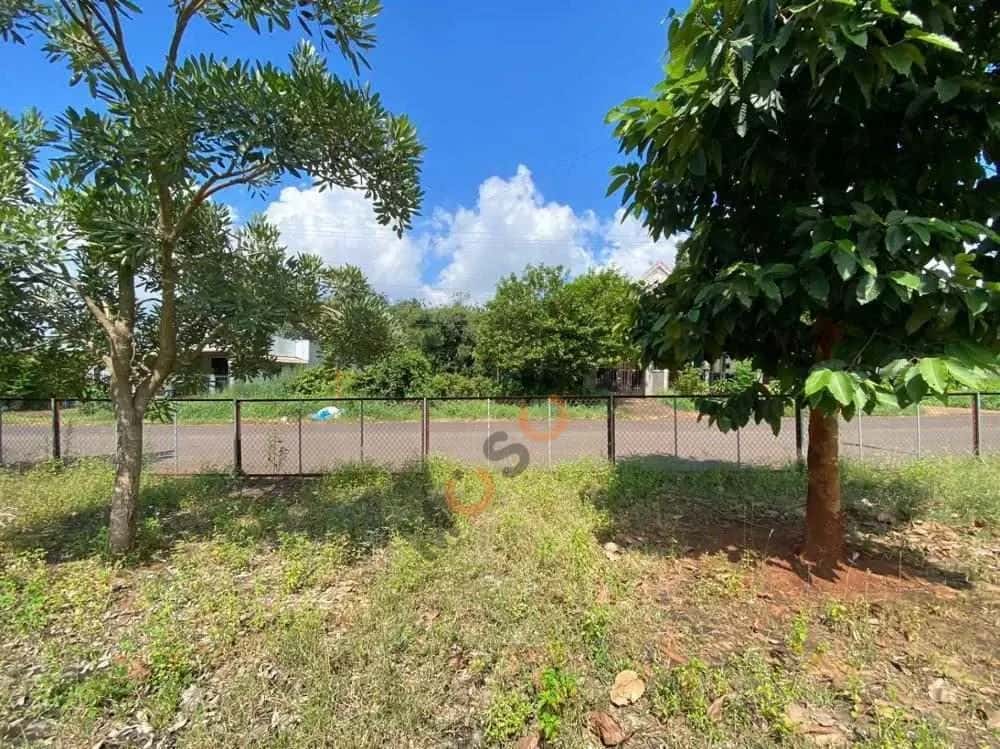 Bán đất Huyện Hớn Quản, Bình Phước – giá 378 triệu — Hình 2 Bán đất Huyện Hớn Quản, Bình Phước – giá 378 triệu — Hình 2
