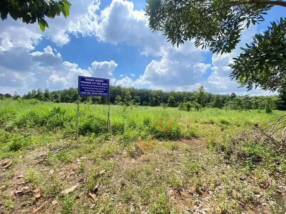 Bán đất Huyện Hớn Quản, Bình Phước – giá 378 triệu Bán đất Huyện Hớn Quản, Bình Phước – giá 378 triệu