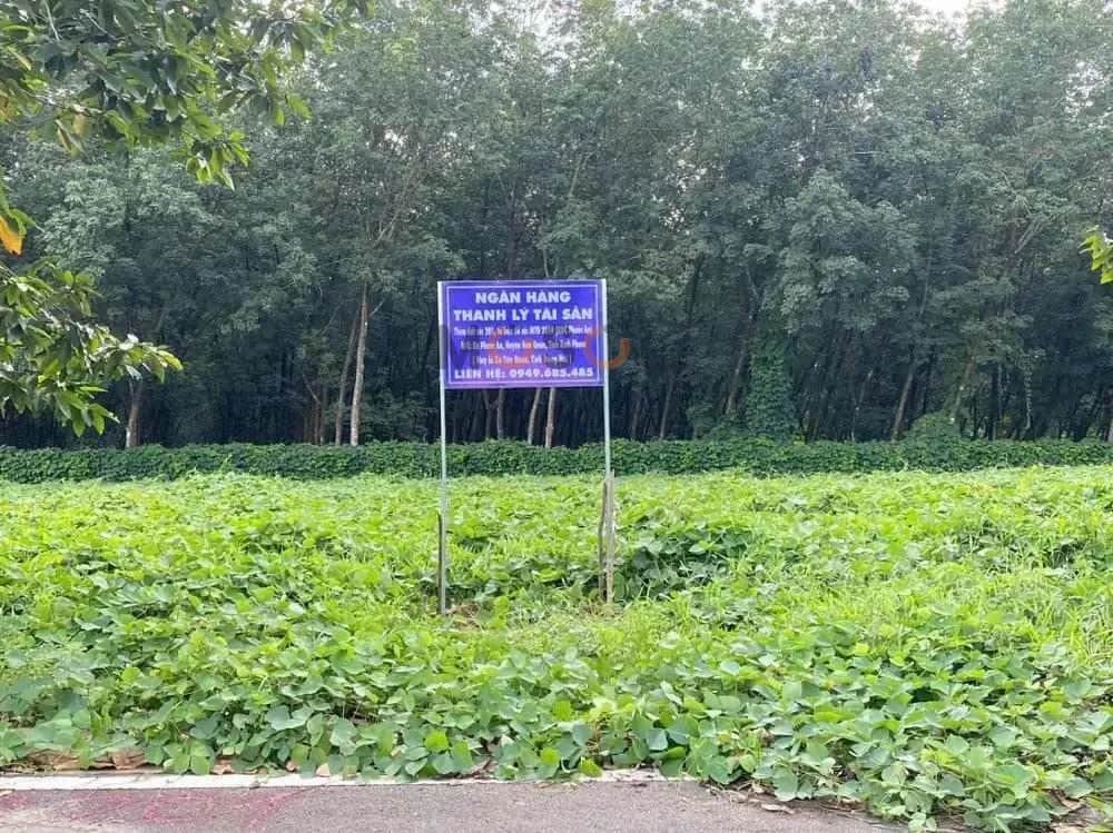 Bán đất Huyện Hớn Quản, Bình Phước – giá 355 triệu Bán đất Huyện Hớn Quản, Bình Phước – giá 355 triệu