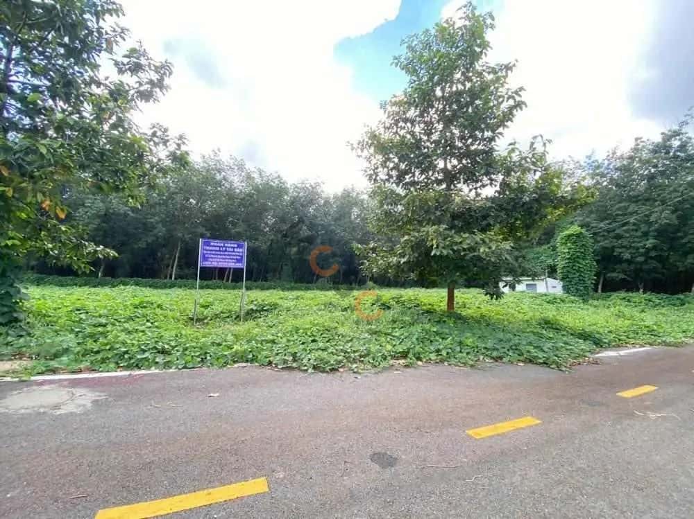 Bán đất Huyện Hớn Quản, Bình Phước – giá 355 triệu — Hình 2 Bán đất Huyện Hớn Quản, Bình Phước – giá 355 triệu — Hình 2