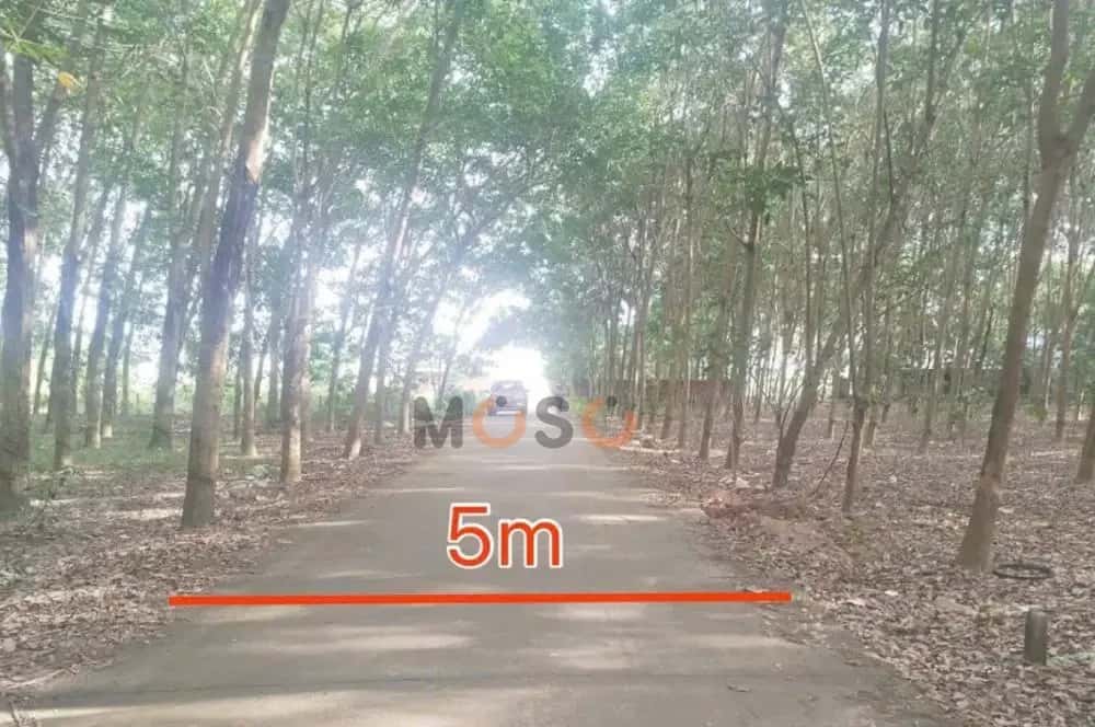 Bán đất Đh 501 Huyện Phú Giáo, Bình Dương – giá 1.2 tỷ — Hình 2 Bán đất Đh 501 Huyện Phú Giáo, Bình Dương – giá 1.2 tỷ — Hình 2