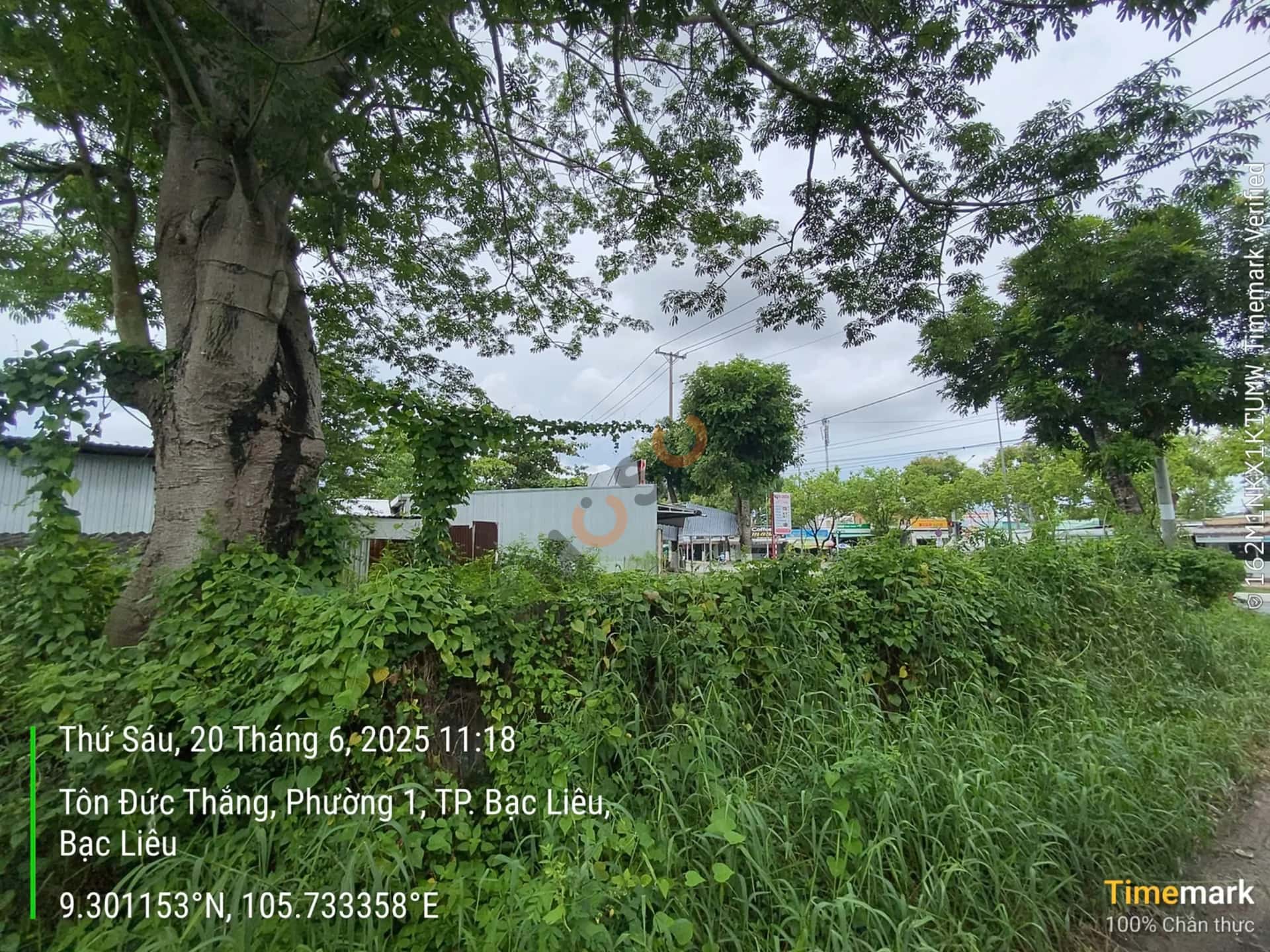 Bán đất Tôn Đức Thắng Thành phố Bạc Liêu, Bạc Liêu – giá 7.1 tỷ — Hình 3 Bán đất Tôn Đức Thắng Thành phố Bạc Liêu, Bạc Liêu – giá 7.1 tỷ — Hình 3