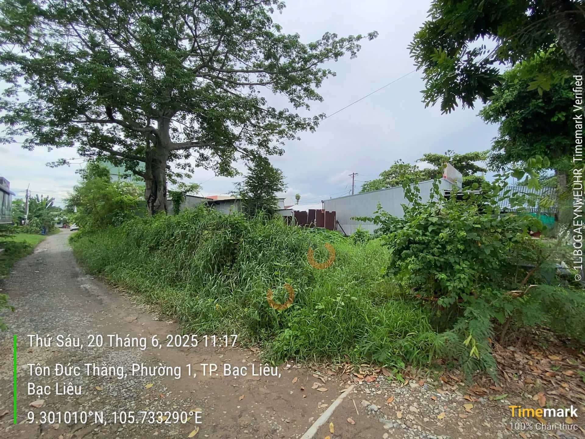 Bán đất Tôn Đức Thắng Thành phố Bạc Liêu, Bạc Liêu – giá 7.1 tỷ — Hình 2 Bán đất Tôn Đức Thắng Thành phố Bạc Liêu, Bạc Liêu – giá 7.1 tỷ — Hình 2