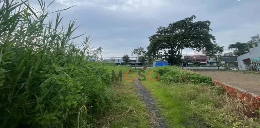 Bán đất Nguyễn Trãi Cà Mau, Cà Mau – giá 4.6 tỷ — Hình 2 Bán đất Nguyễn Trãi Cà Mau, Cà Mau – giá 4.6 tỷ — Hình 2