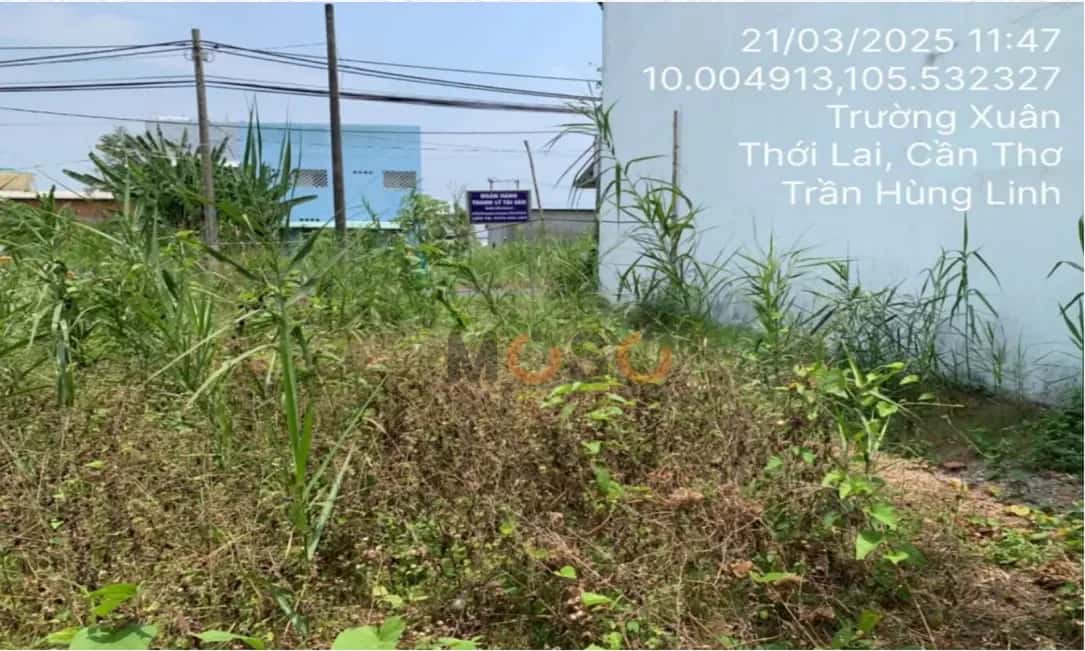 Bán đất Huyện Thới Lai, TP. Cần Thơ – giá 2.5 tỷ — Hình 2 Bán đất Huyện Thới Lai, TP. Cần Thơ – giá 2.5 tỷ — Hình 2