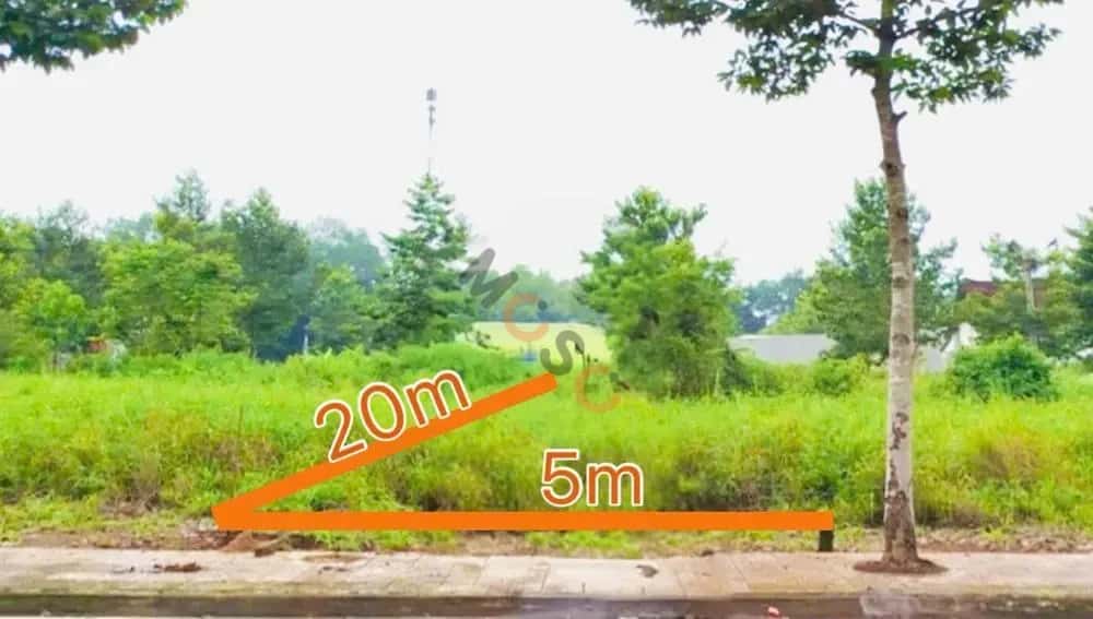 Bán đất Unnamed Huyện Đồng Phú, Bình Phước – giá 453 triệu — Hình 2 Bán đất Unnamed Huyện Đồng Phú, Bình Phước – giá 453 triệu — Hình 2