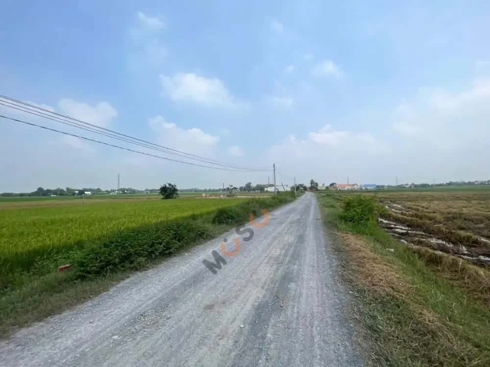 Bán đất Đường tỉnh 822 Huyện Đức Hòa, Long An – giá 1 tỷ — Hình 2 Bán đất Đường tỉnh 822 Huyện Đức Hòa, Long An – giá 1 tỷ — Hình 2