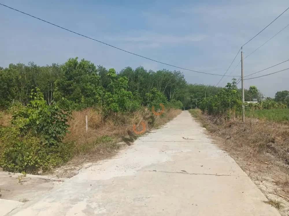 Bán đất Minh Hưng Huyện Chơn Thành, Bình Phước – giá 2.3 tỷ — Hình 2 Bán đất Minh Hưng Huyện Chơn Thành, Bình Phước – giá 2.3 tỷ — Hình 2