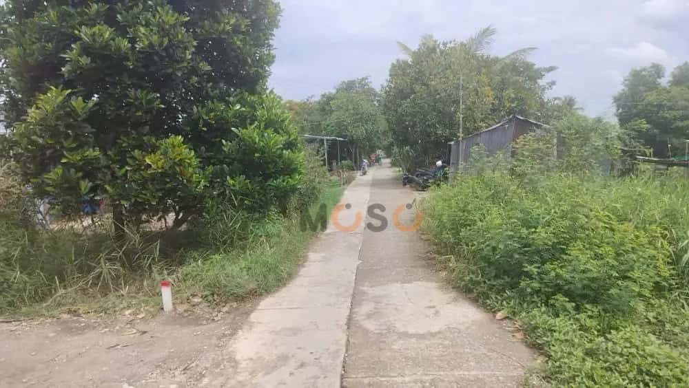 Bán đất Minh Tân Huyện Châu Thành, Kiên Giang – giá 221 triệu — Hình 2 Bán đất Minh Tân Huyện Châu Thành, Kiên Giang – giá 221 triệu — Hình 2