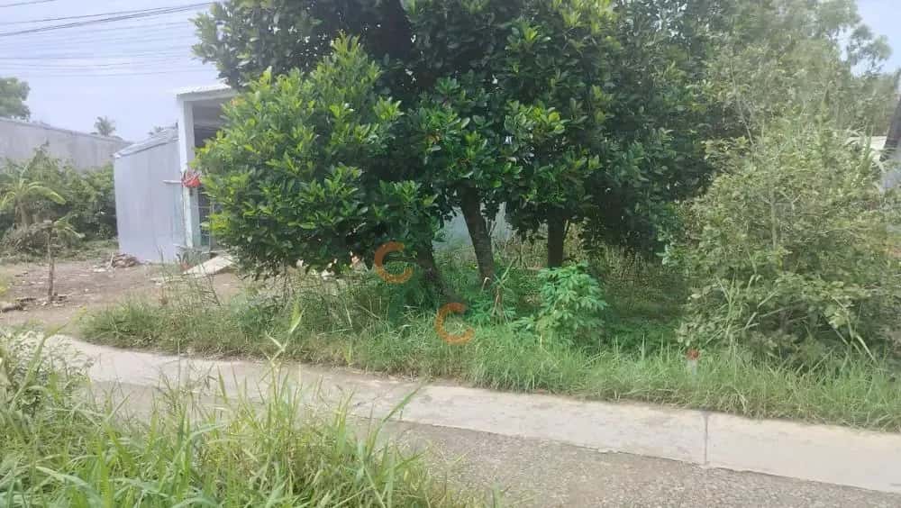 Bán đất Minh Tân Huyện Châu Thành, Kiên Giang – giá 221 triệu — Hình 3 Bán đất Minh Tân Huyện Châu Thành, Kiên Giang – giá 221 triệu — Hình 3