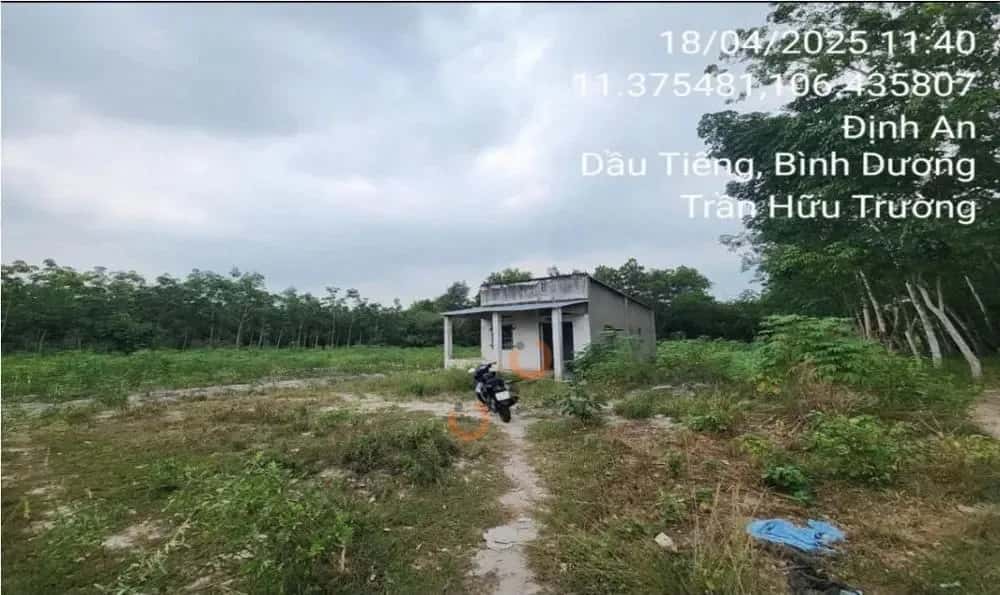 Bán đất X. Định An Huyện Dầu Tiếng, Bình Dương – giá 1.6 tỷ — Hình 2 Bán đất X. Định An Huyện Dầu Tiếng, Bình Dương – giá 1.6 tỷ — Hình 2