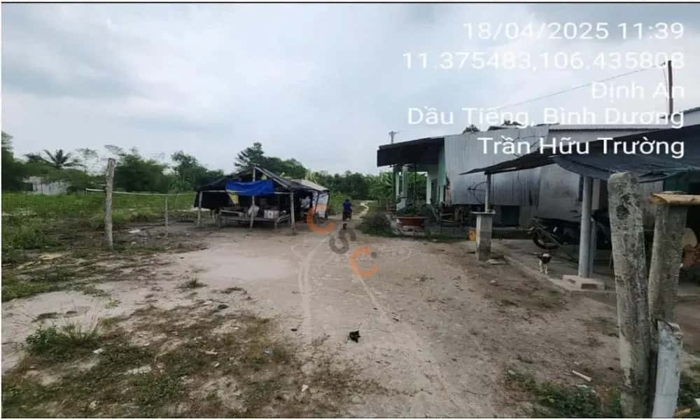 Bán đất X. Định An Huyện Dầu Tiếng, Bình Dương – giá 1.6 tỷ — Hình 3 Bán đất X. Định An Huyện Dầu Tiếng, Bình Dương – giá 1.6 tỷ — Hình 3