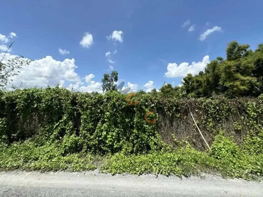 Bán đất Ap Hoa Thuan Huyện Đức Hòa, Long An – giá 1.3 tỷ — Hình 3 Bán đất Ap Hoa Thuan Huyện Đức Hòa, Long An – giá 1.3 tỷ — Hình 3