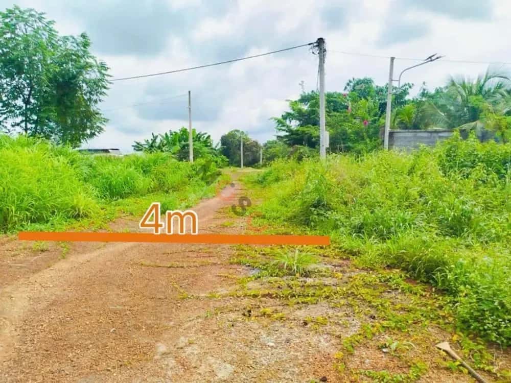 Bán đất Huyện Đồng Phú, Bình Phước – giá 1.1 tỷ — Hình 2 Bán đất Huyện Đồng Phú, Bình Phước – giá 1.1 tỷ — Hình 2