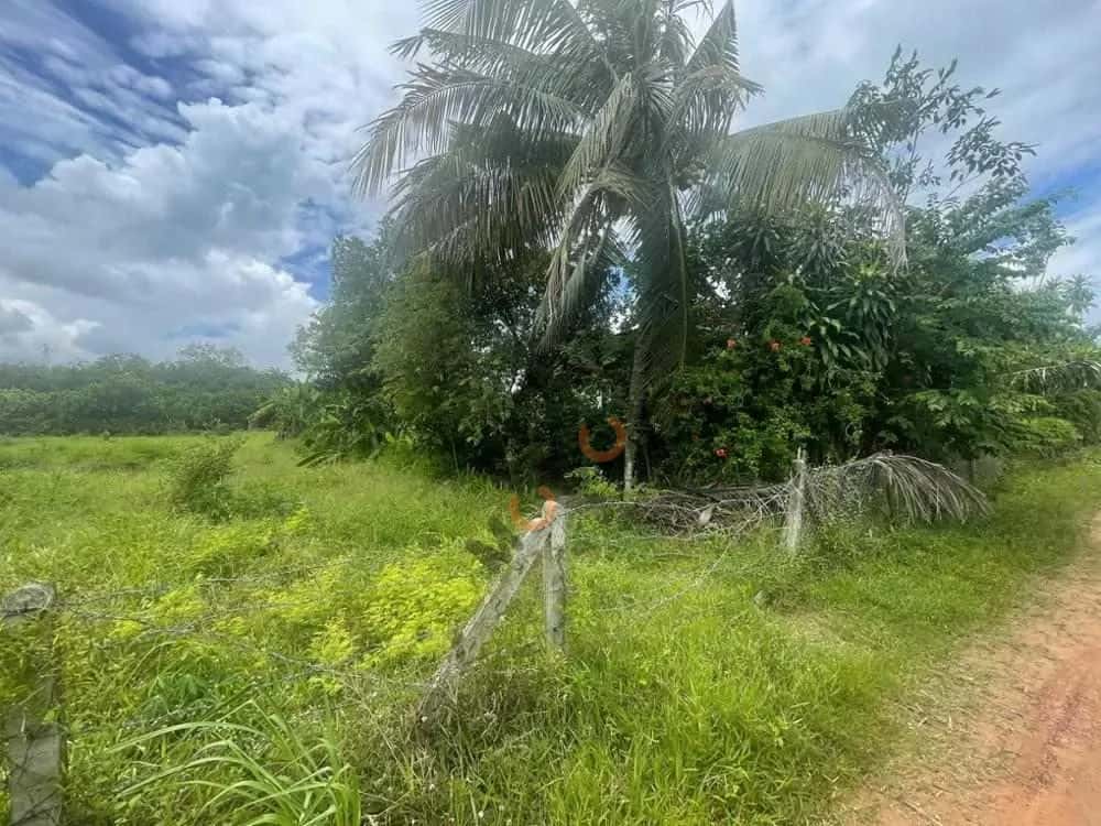 Bán đất Huyện Châu Thành, Tây Ninh – giá 2.7 tỷ — Hình 3 Bán đất Huyện Châu Thành, Tây Ninh – giá 2.7 tỷ — Hình 3
