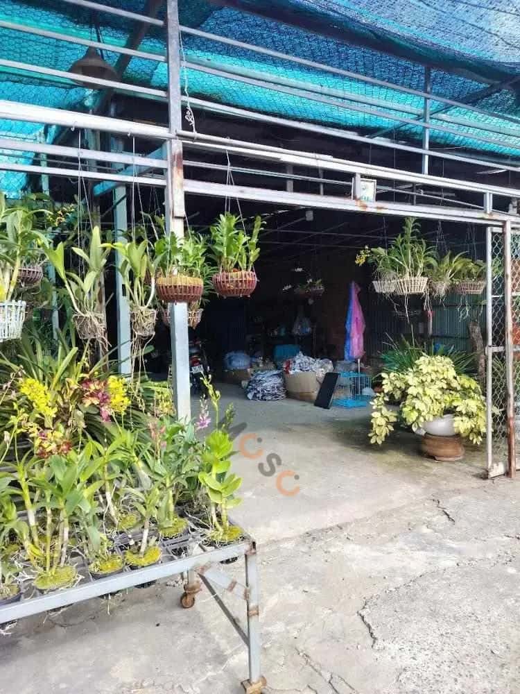 Bán nhà hẻm Quốc lộ 91 Thành phố Long Xuyên, An Giang – giá 8.5 tỷ — Hình 2 Bán nhà hẻm Quốc lộ 91 Thành phố Long Xuyên, An Giang – giá 8.5 tỷ — Hình 2