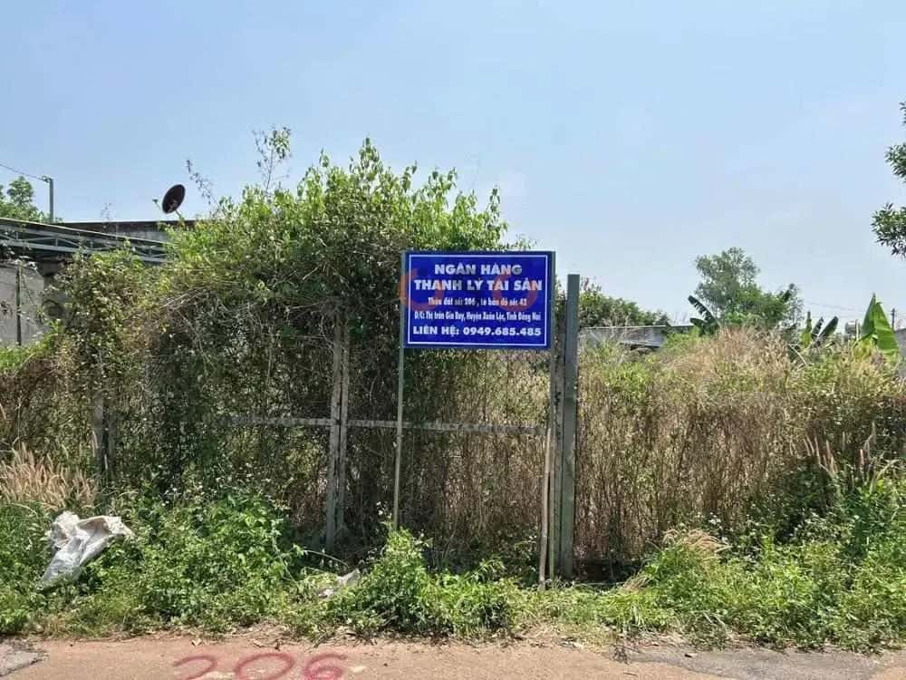 Bán đất Huyện Xuân Lộc, Đồng Nai – giá 1.2 tỷ — Hình 3 Bán đất Huyện Xuân Lộc, Đồng Nai – giá 1.2 tỷ — Hình 3