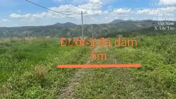 Bán đất Huyện Bảo Lâm, Lâm Đồng – giá 587 triệu — Hình 2 Bán đất Huyện Bảo Lâm, Lâm Đồng – giá 587 triệu — Hình 2