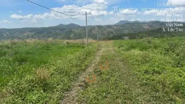 Bán đất Huyện Bảo Lâm, Lâm Đồng – giá 587 triệu — Hình 3 Bán đất Huyện Bảo Lâm, Lâm Đồng – giá 587 triệu — Hình 3