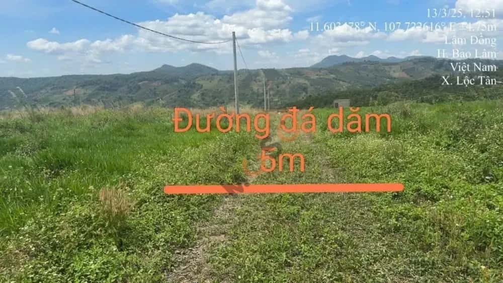 Bán đất Huyện Bảo Lâm, Lâm Đồng – giá 591 triệu — Hình 2 Bán đất Huyện Bảo Lâm, Lâm Đồng – giá 591 triệu — Hình 2