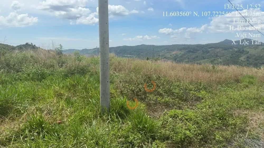 Bán đất Huyện Bảo Lâm, Lâm Đồng – giá 591 triệu — Hình 3 Bán đất Huyện Bảo Lâm, Lâm Đồng – giá 591 triệu — Hình 3