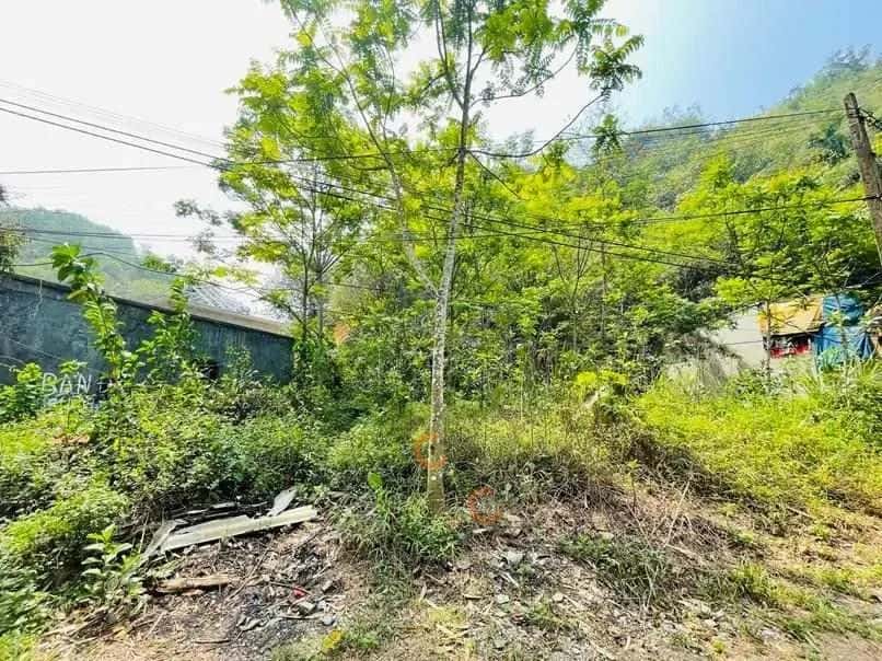 Bán đất Tôn Thất Tùng Thành phố Hòa Bình, Hoà Bình – giá 1.7 tỷ — Hình 3 Bán đất Tôn Thất Tùng Thành phố Hòa Bình, Hoà Bình – giá 1.7 tỷ — Hình 3