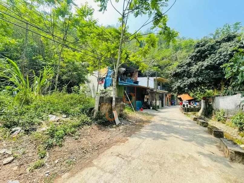 Bán đất Tôn Thất Tùng Thành phố Hòa Bình, Hoà Bình – giá 1.5 tỷ — Hình 2 Bán đất Tôn Thất Tùng Thành phố Hòa Bình, Hoà Bình – giá 1.5 tỷ — Hình 2