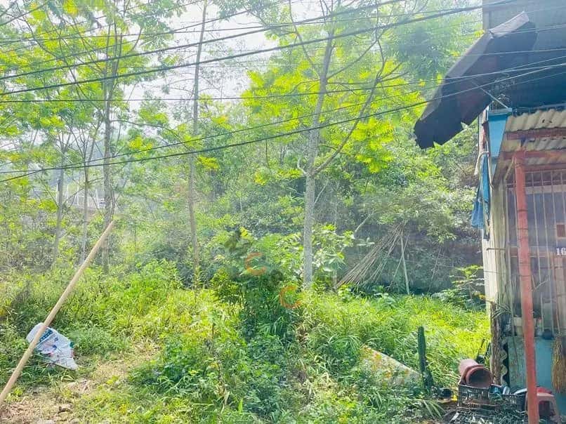 Bán đất Tôn Thất Tùng Thành phố Hòa Bình, Hoà Bình – giá 1.5 tỷ — Hình 3 Bán đất Tôn Thất Tùng Thành phố Hòa Bình, Hoà Bình – giá 1.5 tỷ — Hình 3