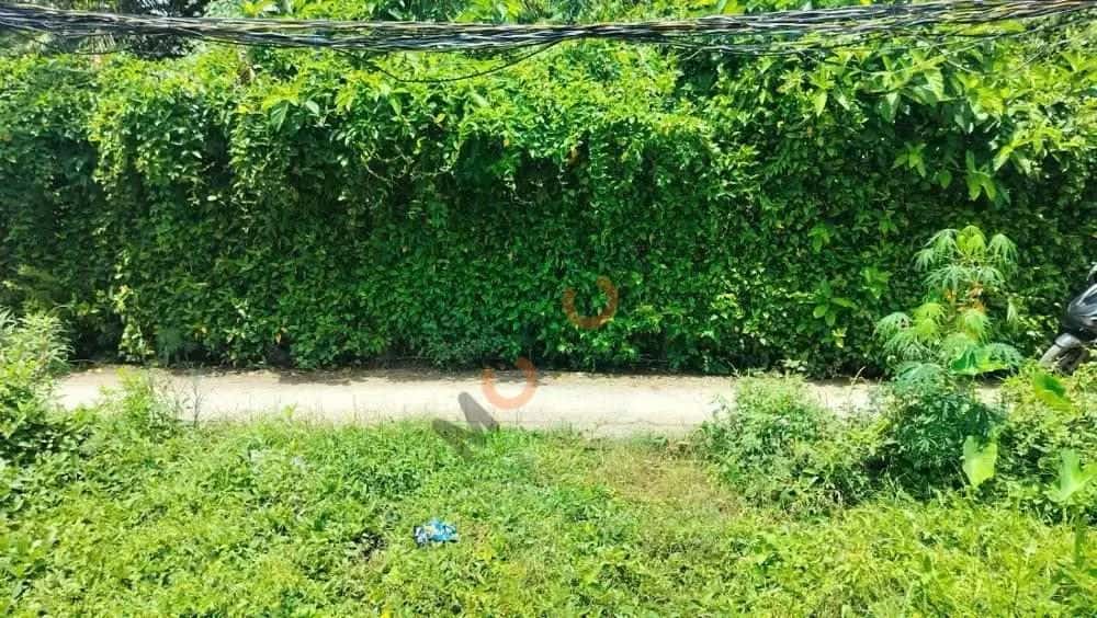 Bán đất Đường Đoàn Thị Nghiệp Thành phố Mỹ Tho, Tiền Giang – giá 609 triệu — Hình 3 Bán đất Đường Đoàn Thị Nghiệp Thành phố Mỹ Tho, Tiền Giang – giá 609 triệu — Hình 3