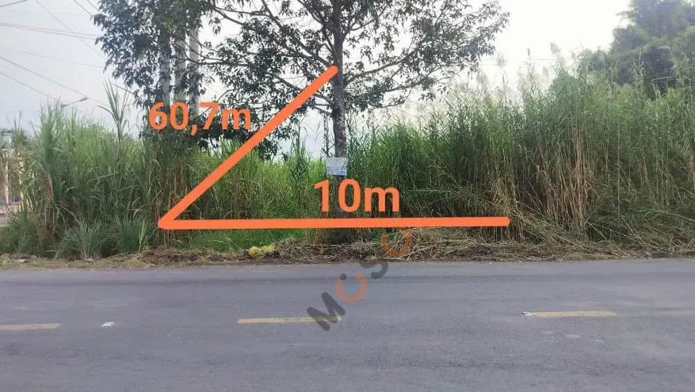Bán đất Huyện Thới Lai, TP. Cần Thơ – giá 1.9 tỷ Bán đất Huyện Thới Lai, TP. Cần Thơ – giá 1.9 tỷ