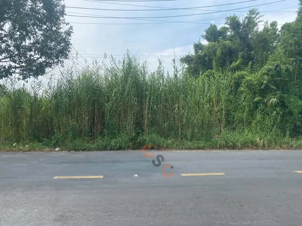 Bán đất Huyện Thới Lai, TP. Cần Thơ – giá 1.9 tỷ — Hình 2 Bán đất Huyện Thới Lai, TP. Cần Thơ – giá 1.9 tỷ — Hình 2