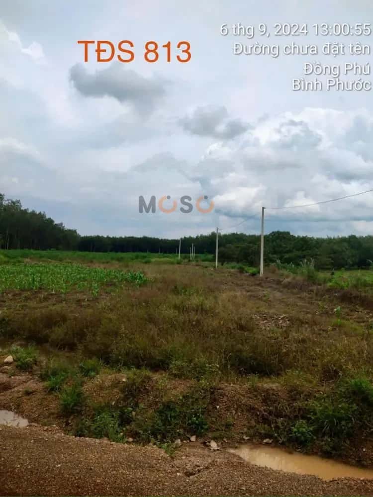 Bán đất Thuận Tân Huyện Đồng Phú, Bình Phước – giá 373 triệu — Hình 3 Bán đất Thuận Tân Huyện Đồng Phú, Bình Phước – giá 373 triệu — Hình 3