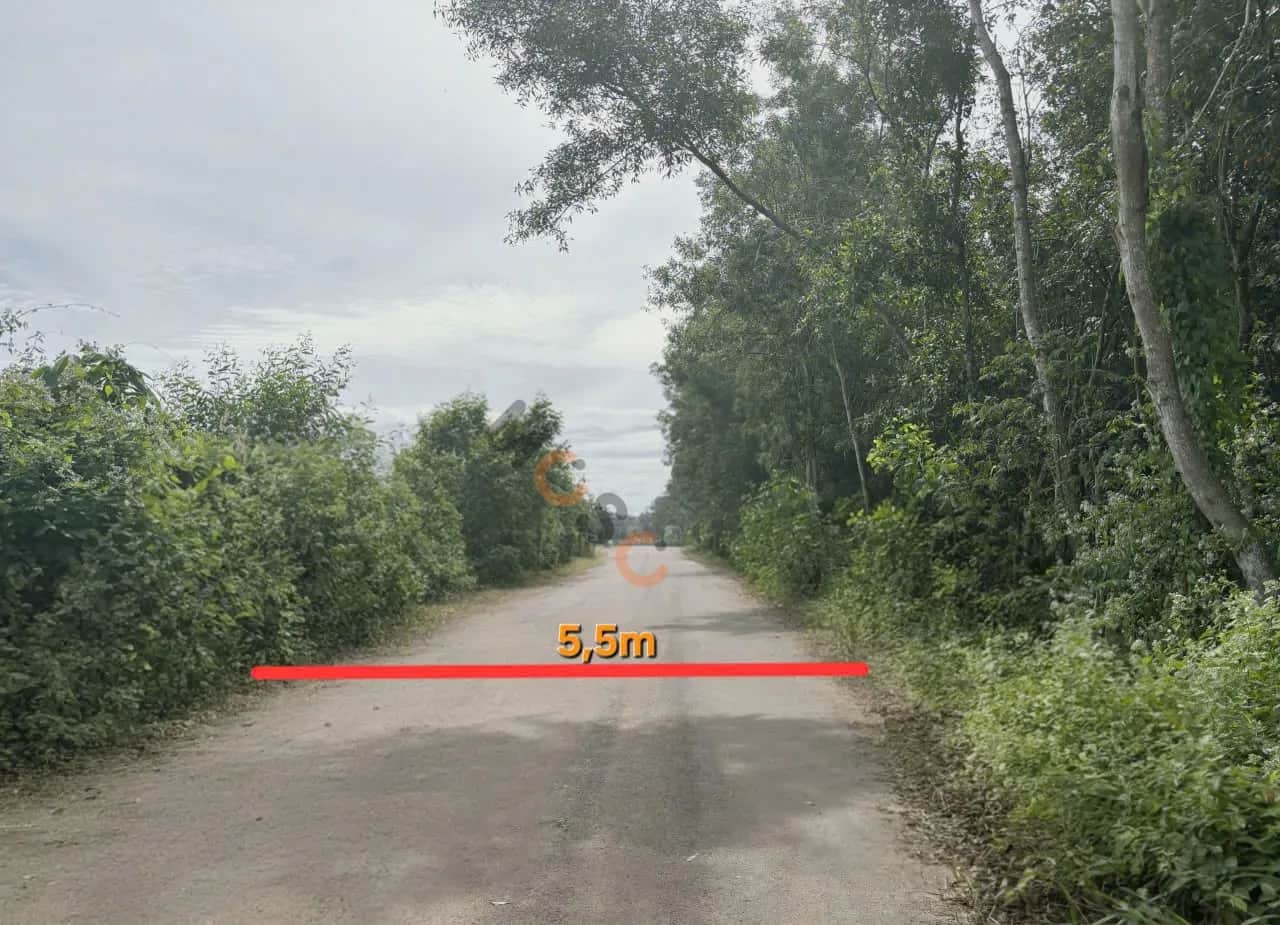 Bán đất Huyện Chơn Thành, Bình Phước – giá 731.5 triệu Bán đất Huyện Chơn Thành, Bình Phước – giá 731.5 triệu