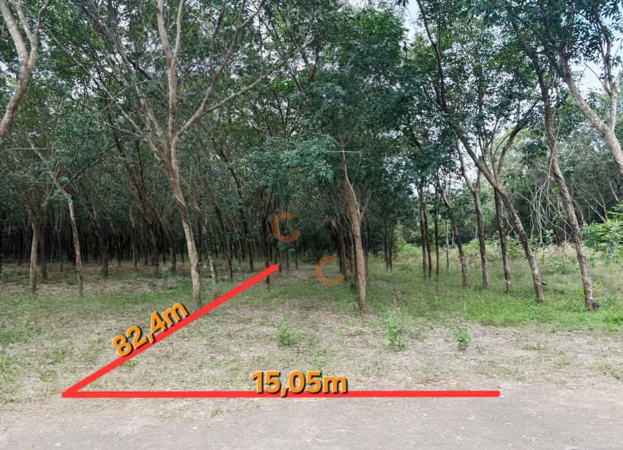 Bán đất Huyện Chơn Thành, Bình Phước – giá 731.5 triệu — Hình 2 Bán đất Huyện Chơn Thành, Bình Phước – giá 731.5 triệu — Hình 2