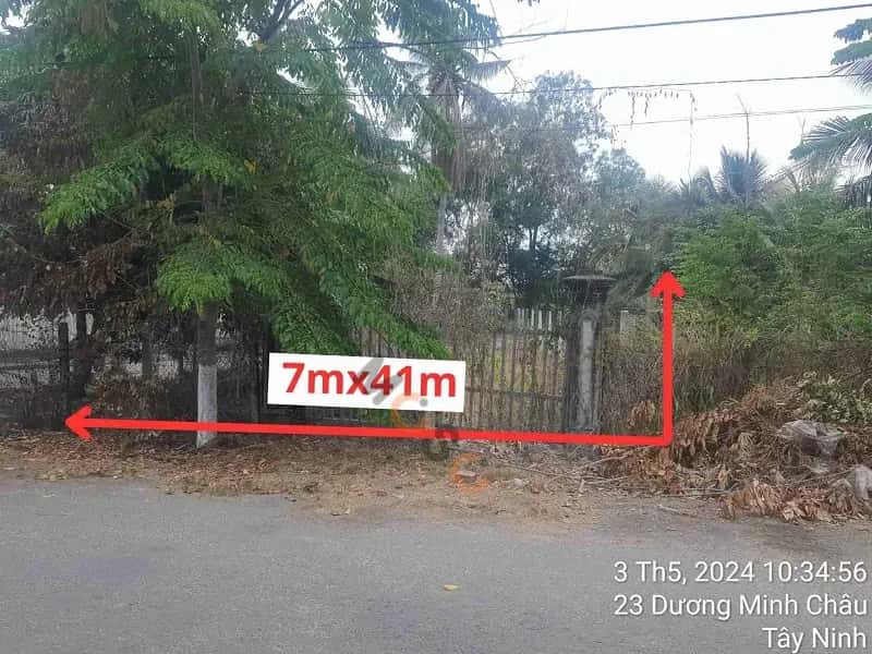 Bán đất Trịnh Đình Thảo Dương Minh Châu, Tây Ninh – giá 610 triệu — Hình 3 Bán đất Trịnh Đình Thảo Dương Minh Châu, Tây Ninh – giá 610 triệu — Hình 3