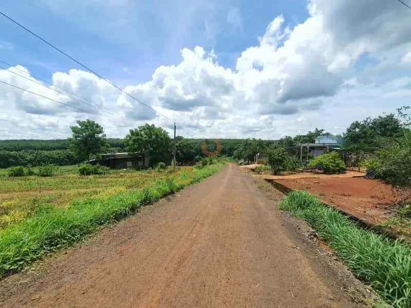 Bán đất Unnamed Huyện Bù Gia Mập, Bình Phước – giá 130 triệu — Hình 3 Bán đất Unnamed Huyện Bù Gia Mập, Bình Phước – giá 130 triệu — Hình 3