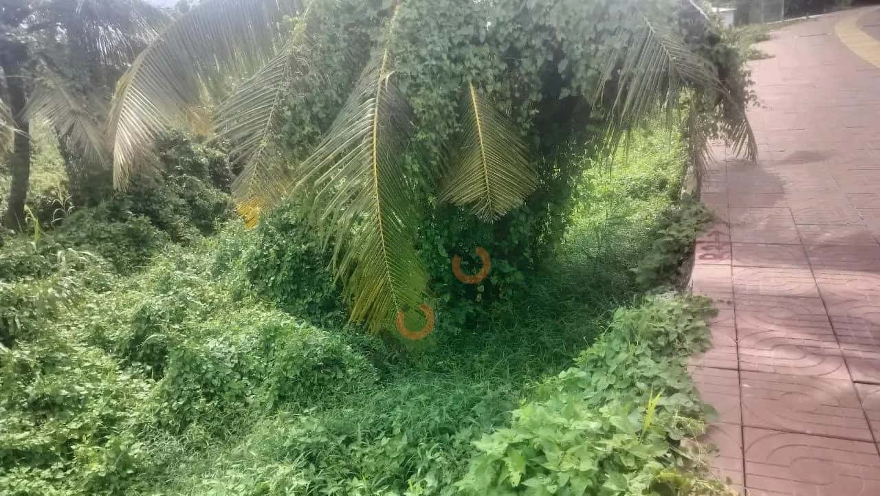 Bán đất Quốc lộ 1A Thành phố Vĩnh Long, Vĩnh Long – giá 3.2 tỷ — Hình 3 Bán đất Quốc lộ 1A Thành phố Vĩnh Long, Vĩnh Long – giá 3.2 tỷ — Hình 3