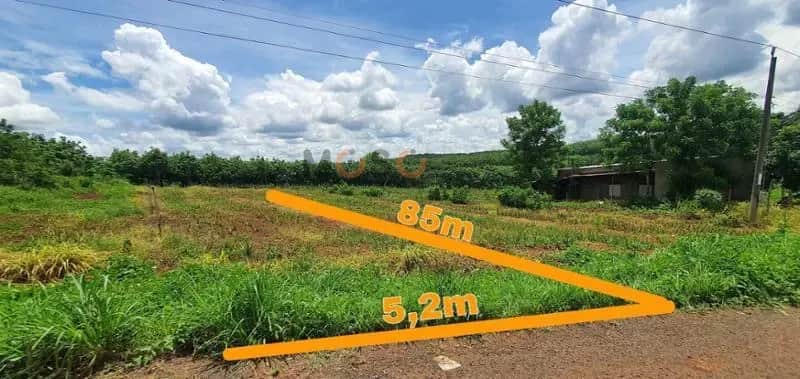 Bán đất Unnamed Huyện Bù Gia Mập, Bình Phước – giá 133 triệu Bán đất Unnamed Huyện Bù Gia Mập, Bình Phước – giá 133 triệu