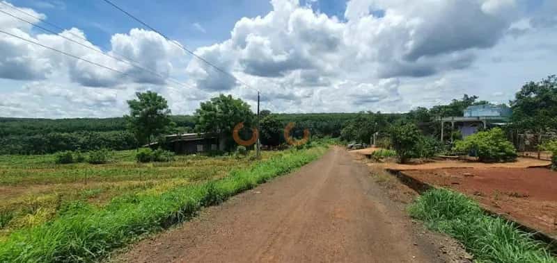 Bán đất Unnamed Huyện Bù Gia Mập, Bình Phước – giá 133 triệu — Hình 3 Bán đất Unnamed Huyện Bù Gia Mập, Bình Phước – giá 133 triệu — Hình 3