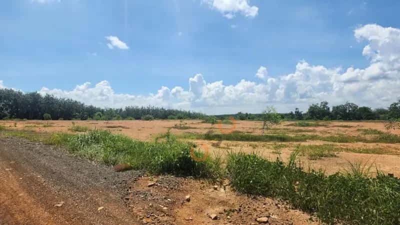 Bán đất Huyện Đồng Phú, Bình Phước – giá 183.1 triệu — Hình 3 Bán đất Huyện Đồng Phú, Bình Phước – giá 183.1 triệu — Hình 3