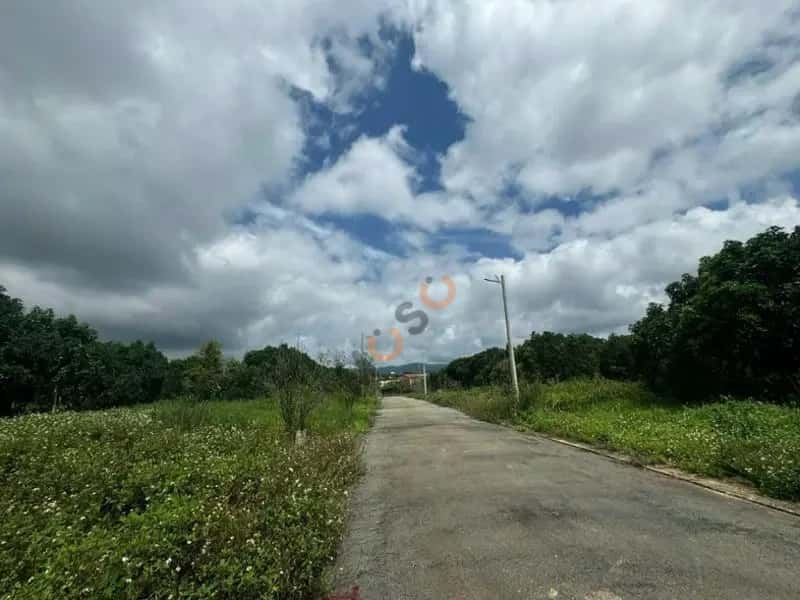 Bán đất Huyện Lâm Hà, Lâm Đồng – giá 970.5 triệu — Hình 3 Bán đất Huyện Lâm Hà, Lâm Đồng – giá 970.5 triệu — Hình 3