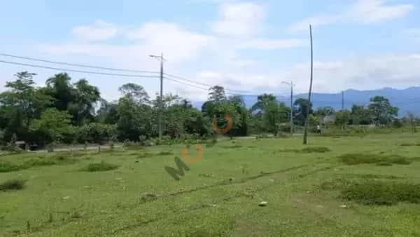 Bán đất Bản Xa Nghĩa Lộ, Yên Bái – giá 575 triệu — Hình 3 Bán đất Bản Xa Nghĩa Lộ, Yên Bái – giá 575 triệu — Hình 3
